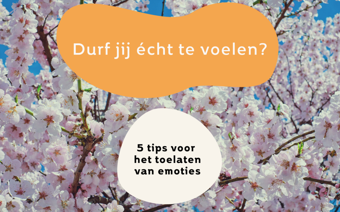 Durf jij écht te voelen?