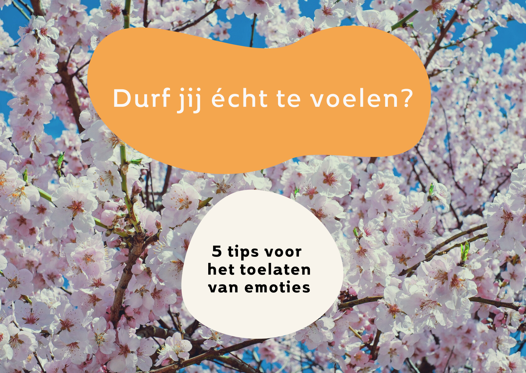 Blog Herstel van Binnenuit Durf jij echt te voelen